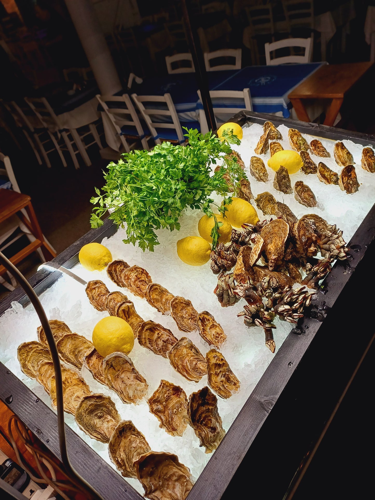 Full service option 2 - Euro400 + your choice of oysters and shellfish