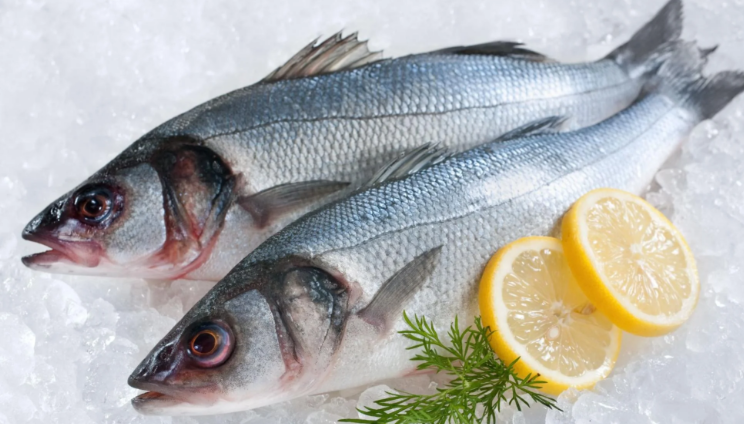 Seabass Cyprus Mediterranean 600 / 800