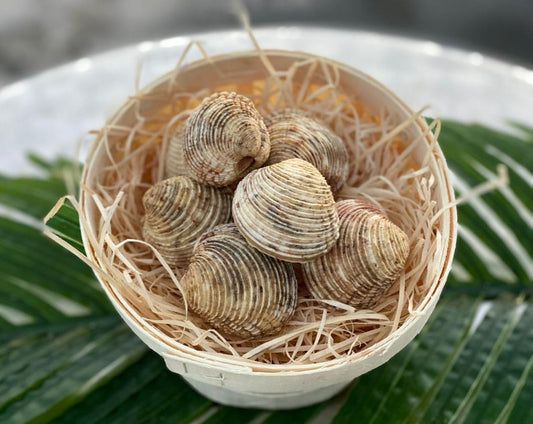 Hard Clams (Kidonia) – Venus verrucosa – Fresh – 1kg