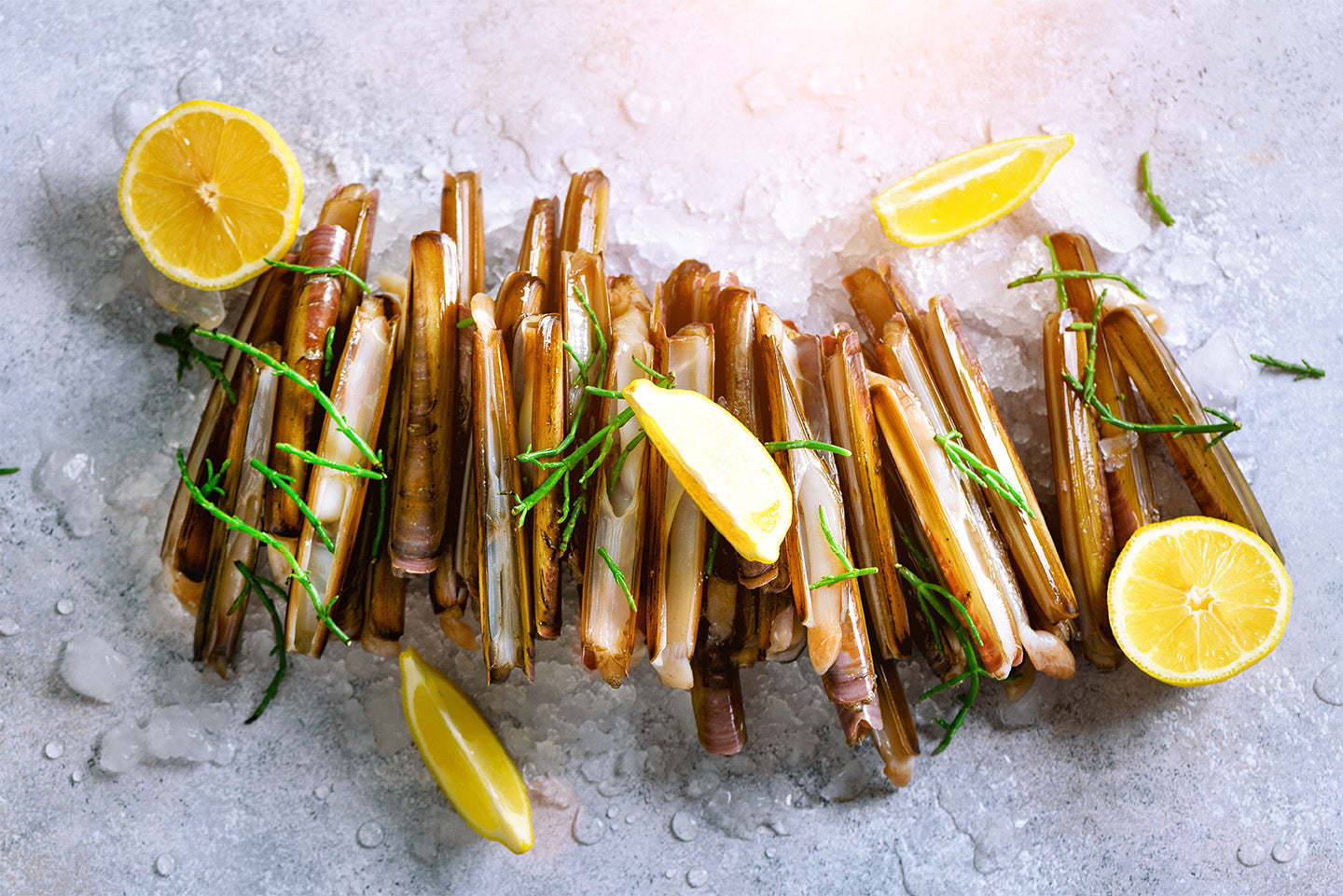 Fresh Razor Clams (Ensis Ensis) – 1kg | Buy Shellfish in Cyprus – Very ...