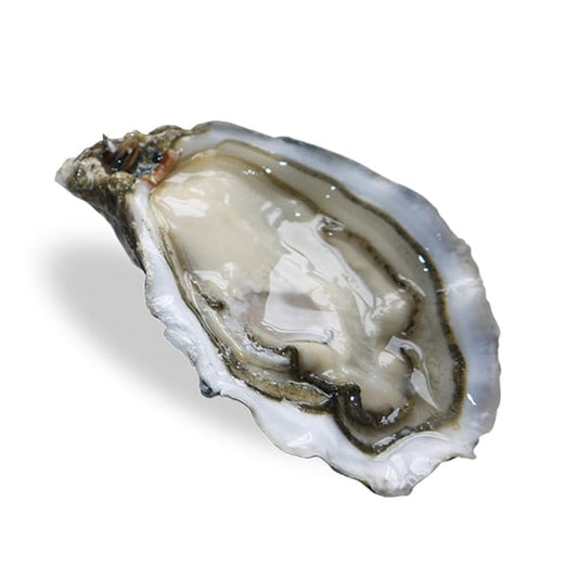 Speciale de Claire Oysters Nr 3 – 12pcs Box