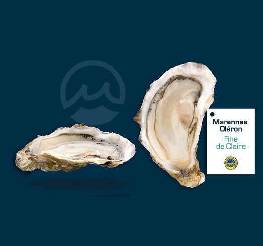 Fine de Claire Oysters No.2 – 12pcs | Fresh French Oysters Cyprus