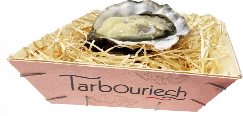 Tarbouriech Speciale Perliere Oyster Nr 3 – Natural Pearl – 1pc Box