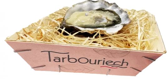 Tarbouriech Speciale Perliere Oyster Nr 3 – Natural Pearl – 1pc Box