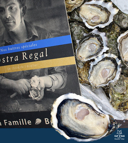 Regal Oysters Nr 4 – Super Premium – 12pcs Box