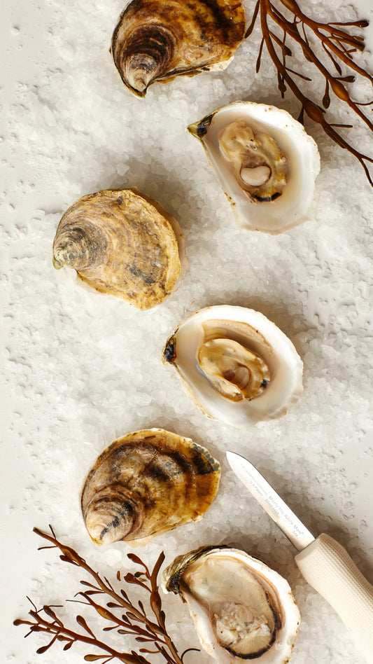 Shucker & Bourriche - Euro50 + your choice of oysters (maximum 50 oysters)